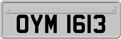 OYM1613