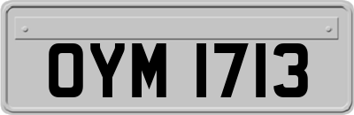 OYM1713