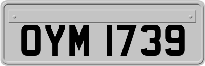 OYM1739