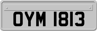 OYM1813
