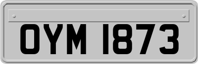 OYM1873