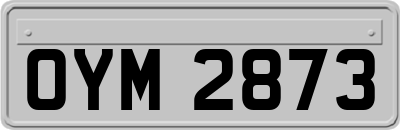 OYM2873