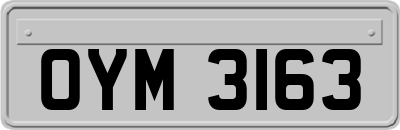 OYM3163