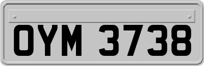 OYM3738