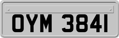 OYM3841