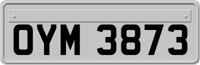 OYM3873