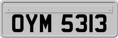 OYM5313