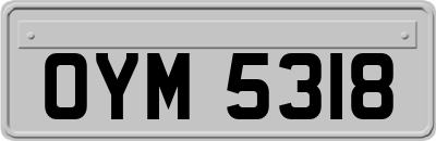 OYM5318
