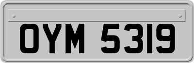 OYM5319