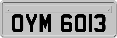 OYM6013
