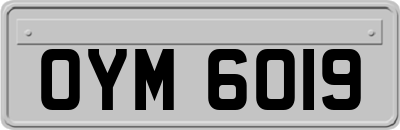 OYM6019