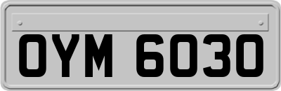 OYM6030