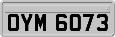 OYM6073