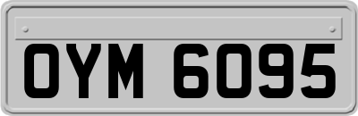 OYM6095