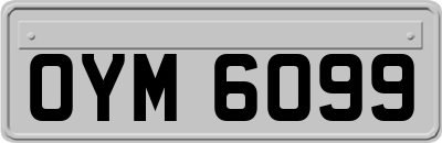 OYM6099