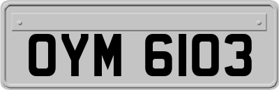 OYM6103