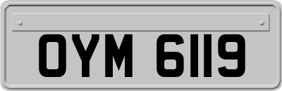 OYM6119