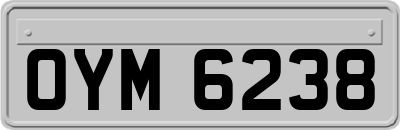 OYM6238