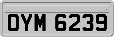 OYM6239