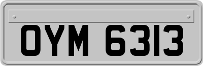 OYM6313