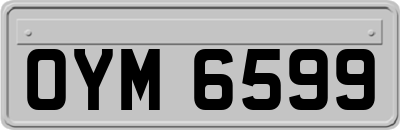 OYM6599