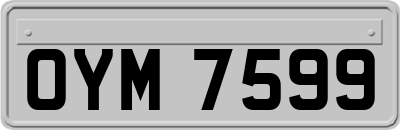 OYM7599