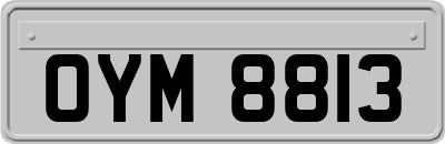 OYM8813
