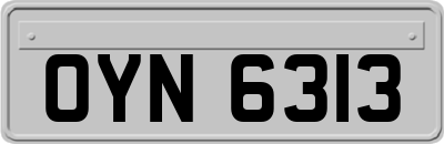 OYN6313
