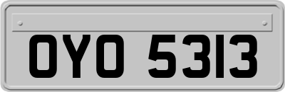 OYO5313