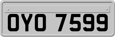 OYO7599