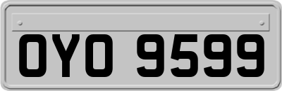 OYO9599