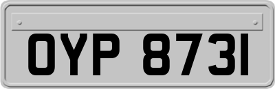 OYP8731