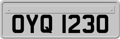 OYQ1230