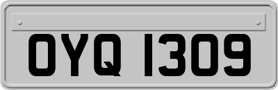 OYQ1309