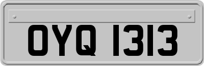 OYQ1313