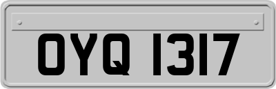 OYQ1317