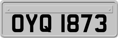 OYQ1873