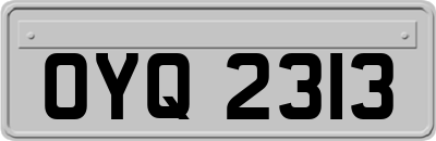 OYQ2313