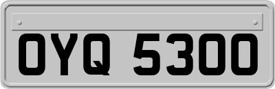 OYQ5300
