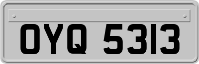 OYQ5313
