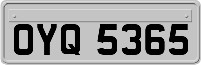 OYQ5365