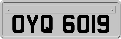 OYQ6019