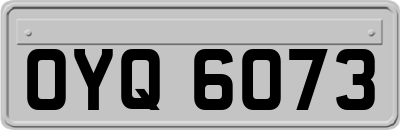 OYQ6073