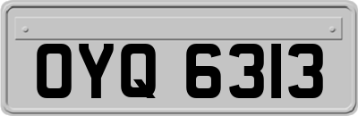OYQ6313