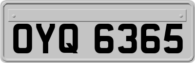 OYQ6365