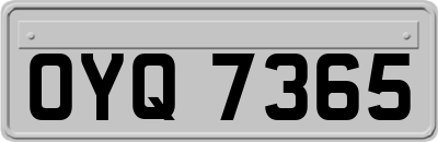 OYQ7365