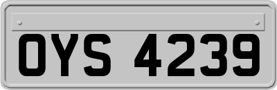 OYS4239