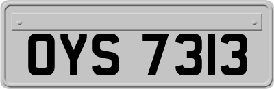 OYS7313