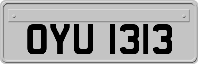 OYU1313
