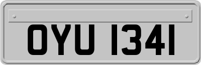 OYU1341